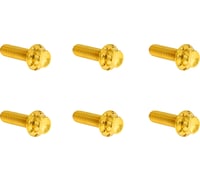 Arlen Ness Bolt Kit - Transmission Top Cover - 12-Point - Titanium - Gold