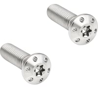 Arlen Ness Mounting Bolts - Polished