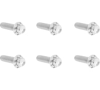 Arlen Ness Bolt Kit - Transmission Top Cover - 12-Point - Titanium - Polished