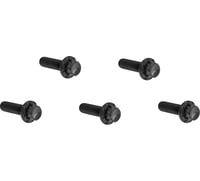 Arlen Ness Bolt Kit - Derby Cover - 12-Point - Titanium - Black