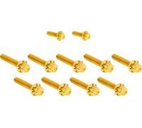 Arlen Ness Bolt Kit - Cam Cover/Point Cover - Titanium - 12-Point - Gold