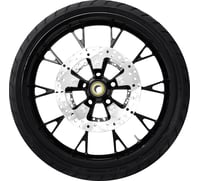 Coastal moto Marlin Front Wheel (21"/Black)/Rotors (11.8")/Dunlop Tire (130/60B21)