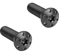 Arlen Ness Mounting Bolts - Black