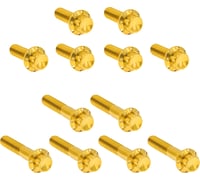 Arlen Ness Bolt Kit - Rocker Box - 12-Point - Titanium - Gold