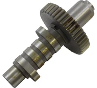Andrews EV46 Cam - Evolution