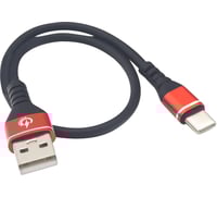 Ridepower USB to USB-C Cable - Charger - Single-End - 12"