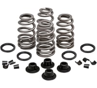 Kibblewhite Spring Kit - .660" - Evolution/Twin Cam