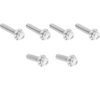 Arlen Ness Bolt Kit - Cable Clutch - Titanium - 12-Point - M8/Twin Cam - Polished