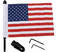 Pro pad Flag Mount - Detachable Sissy Bar - 9" Pole - 6" X 9" Flag