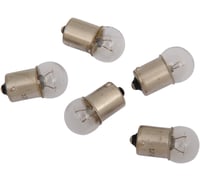 Drag specialties Globe Bulbs - Clear