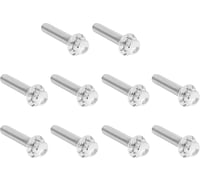 Arlen Ness Bolt Kit - Cam Cover/Point Cover - Titanium - 12-Point - Polished