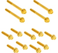 Arlen Ness Bolt Kit - Primary Cover - Titanium - 12-Point - Softail - Gold