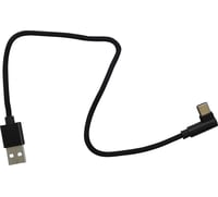 Ridepower USB to 90° USB-C Cable - Charger - Single-End - 12"