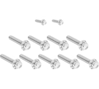 Arlen Ness Bolt Kit - Cam Cover/Point Cover - Titanium - 12-Point - Polished