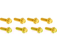 Arlen Ness Bolt Kit - Lifter Block - 12-Point - Titanium - Gold