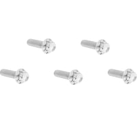 Arlen Ness Bolt Kit - Derby Cover - 12-Point - Titanium - Polished