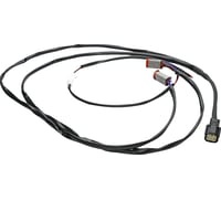 Custom dynamics Wire Harness - CVO