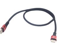 Ridepower Male USB-C to Male USB-C Cable - Phone - Charger - 12" - Black/Red