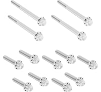 Arlen Ness Bolt Kit - Primary Cover - Titanium - 12-Point - Softail - Polished