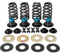 S&s cycle Springs - .585" - Twin Cam