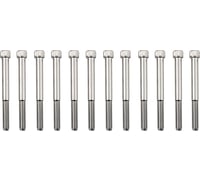 Drag specialties Bolt Kit - Crankcase - Chrome - Knurled - M8