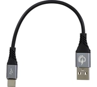 Ridepower USB to USB-C Cable - Charger - Single-End - 7-1/2"