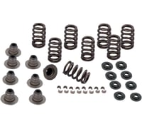 S&s cycle Spring Kit - .605" - M8