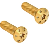 Arlen Ness Mounting Bolts - Gold