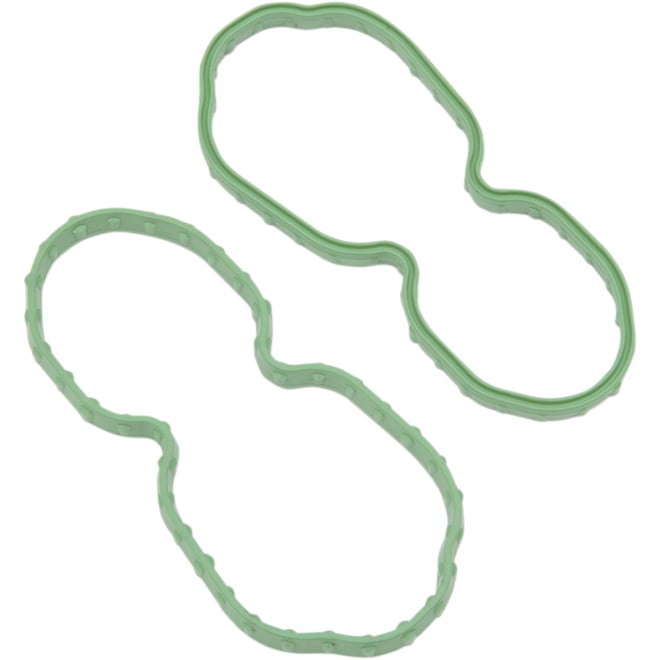 Drag specialties Seal for Fuel Pump Door - XL