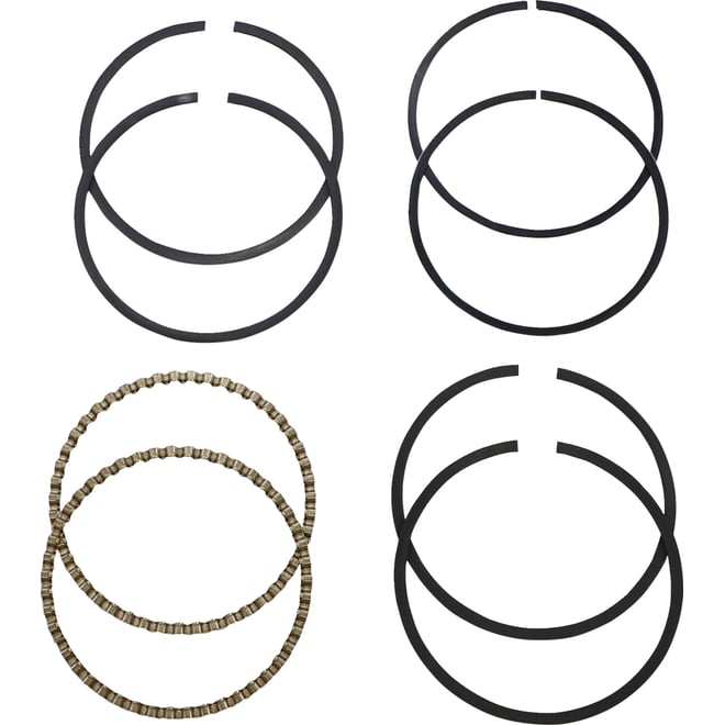 Hastings Piston Rings - Evolution Hastings Piston Rings - Evolution