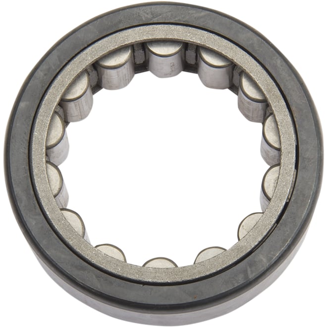Eastern motorcycle parts Race Bearing