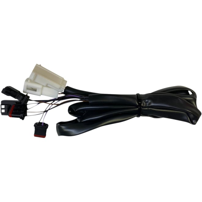 Custom dynamics Taillight Harness - Low Rider