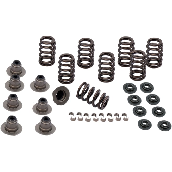 S&s cycle Spring Kit - .605" - M8